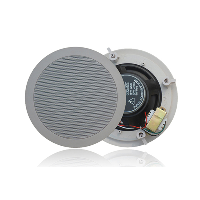 ZY611CBZ  6寸10W定阻藍牙無線吸頂（一托一主箱，開孔尺寸Ф166mm*76mm，DC12-24V）